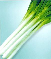 ?????????С??????????